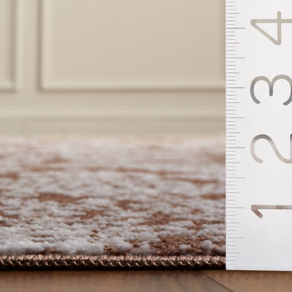 Safavieh Chamber Traditional Power Loomed Polyester Area Rug for Living Rooms and Entryways CHM212P-4