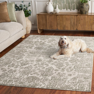 Safavieh Chamber Power Loomed Polyester Area Rug Neutral Ivory Tones for Living Bedroom CHM212W-5