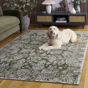 Safavieh Chamber Power Loomed Polyester Area Rug Soft Minimalist Turkish Craft for Living Rooms CHM212Y-5