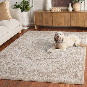 Safavieh Chamber Power Loomed Ivory Beige Polyester Area Rug for Living Room or Bedroom CHM214A-5