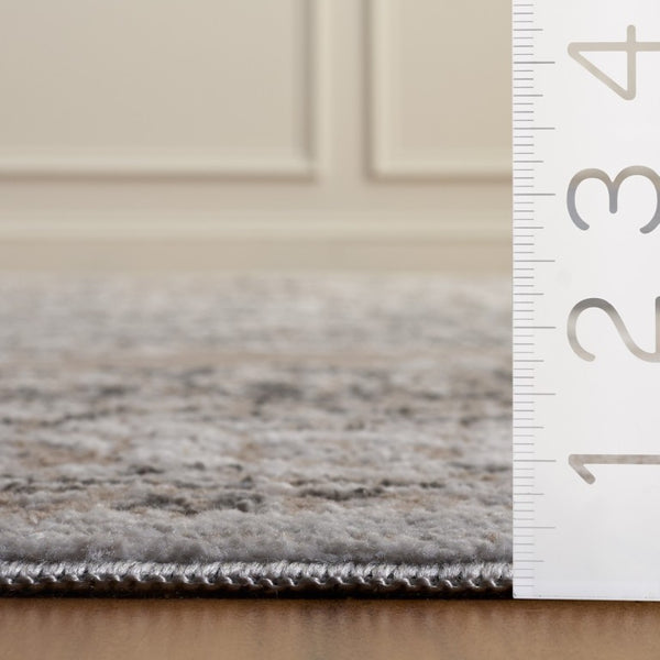 Safavieh Chamber Turkish Power Loomed Polyester Rug Neutral Tones for Living Bedroom Use CHM214B-4