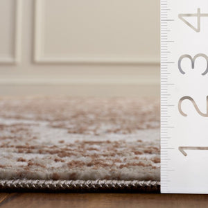 Safavieh Chamber Power Loomed Polyester Area Rug Warm Ivory Rust Tones for Living Room CHM214R-5
