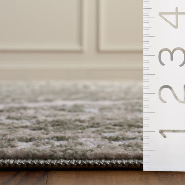 Safavieh Chamber Power Loomed Polyester Area Rug Ivory Green Traditional Living Room Accent CHM214W-8