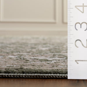 Safavieh Chamber Power Loomed Polyester Area Rug with Muted Traditional Pattern for Living Rooms CHM216W-4