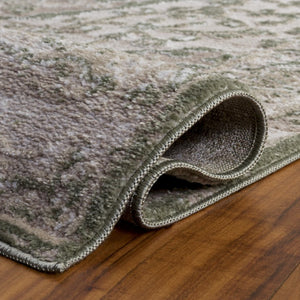 Safavieh Chamber Power Loomed Polyester Area Rug Soft Low Pile Traditional Living Room Accent CHM216W-5