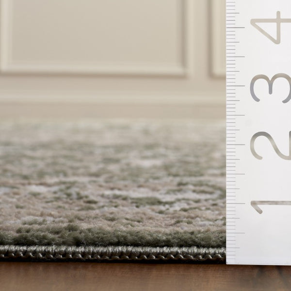Safavieh Chamber Traditional Area Rug Plush Polyester Pile Ivory Neutral for Living Dining Rooms CHM216W-9