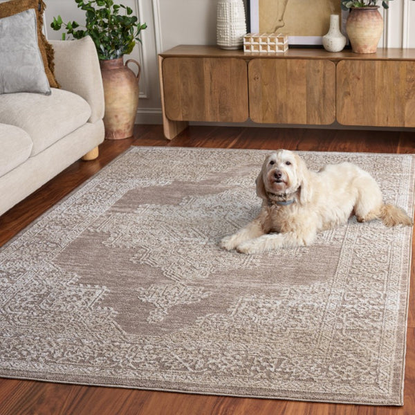 Safavieh Chamber Power-Loomed Polyester Area Rug with Soft Ivory Tones for Any Room Beige 5'-3" x 7'-6" CHM218B-5