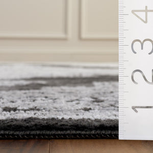 Safavieh Chamber Power-Loomed Polyester Area Rug with Soft Ivory Tones for Any Room Gray 8'-0" x 10'-0" CHM218G-8