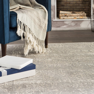 Jaipur Living Jaipur Living Lianna Abstract Medallion Area Rug Vintage Distressed Viscose Blend RUG141863