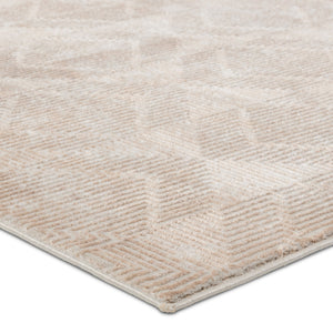 Jaipur Living Jaipur Living Ottavia Viscose Geometric Rug Antique Distressed High Low Pile Accent Light Gray RSW104783