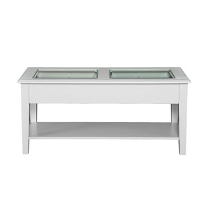 Safavieh Panorama Tempered Glass Coffee Table With Two Drawers And Open Shelf For Living Rooms CK1130