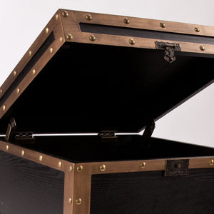 Safavieh Drifton Vintage Trunk End Table With Hidden Storage And Antique Bronze Accent Hardware CK3182