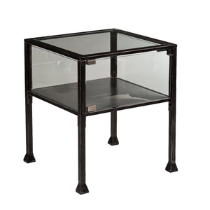 Safavieh Terrarium Display Side Table With Glass Panels For Plants And Living Room Decor BLACK CK8862