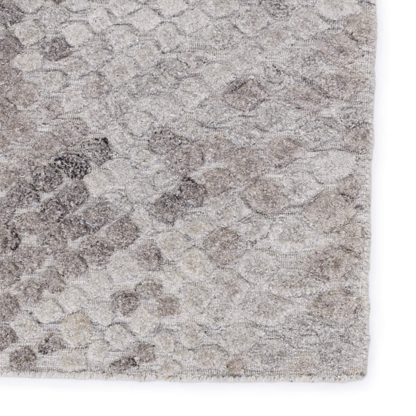 Jaipur Living Jaipur Living Conlan Hand Knotted Wool Viscose Rug Tonal Geometric for Rooms RUG150018