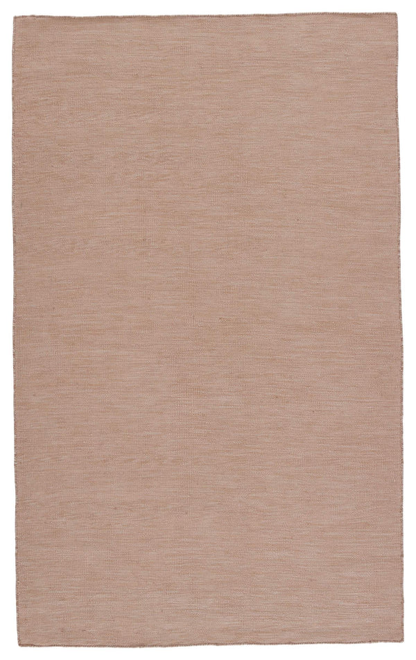Jaipur Living Jaipur Living Sunridge Flatwoven Recycled Pet Rug Neutral Tan Indoor Outdoor Patio Tan 4'X6' RUG149527