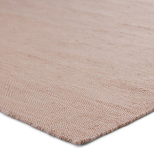 Jaipur Living Jaipur Living Sunridge Flatwoven Recycled Pet Rug Neutral Tan Indoor Outdoor Patio Tan 4'X6' RUG149527