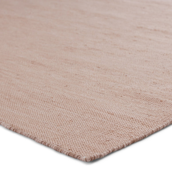 Jaipur Living Jaipur Living Sunridge Flatwoven Recycled Pet Rug Neutral Tan Indoor Outdoor Patio Tan 4'X6' RUG149527