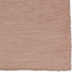 Jaipur Living Jaipur Living Sunridge Flatwoven Recycled Pet Rug Neutral Tan Indoor Outdoor Patio Tan 4'X6' RUG149527