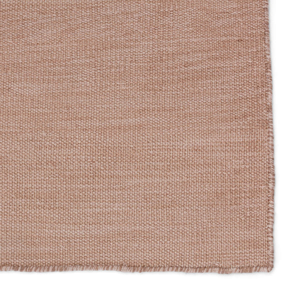 Jaipur Living Jaipur Living Sunridge Flatwoven Recycled Pet Rug Neutral Tan Indoor Outdoor Patio Tan 4'X6' RUG149527