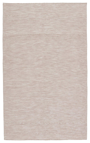 Jaipur Living Jaipur Living Sunridge Flatwoven Recycled Pet Rug Neutral Tan Indoor Outdoor Patio Light Taupe 2'X3' RUG149487