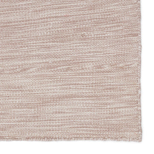Jaipur Living Jaipur Living Sunridge Flatwoven Recycled Pet Rug Neutral Tan Indoor Outdoor Patio Light Taupe 2'X3' RUG149487