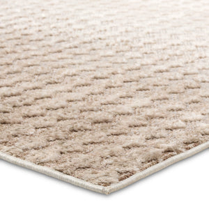 Jaipur Living Composure Monument Cmp06 Powerloomed Machinemade 100% Polyester Contemporary Ombre Indoor Rug Ivory 100% Polyester Rug162303
