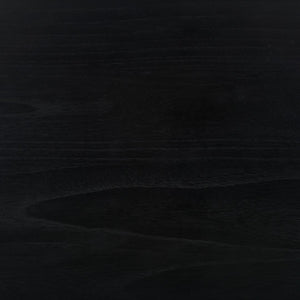 Safavieh Sigurd Console Table Black CNS1200D