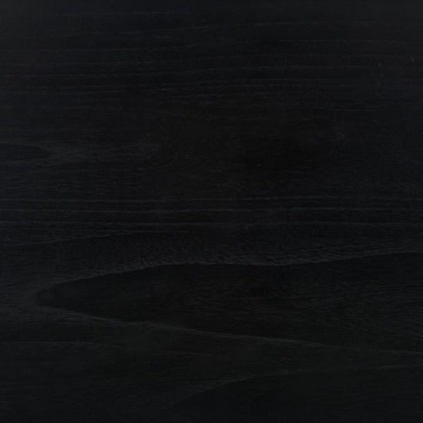 Safavieh Sigurd Console Table Black CNS1200D