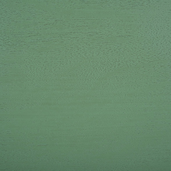 Safavieh Haven Console Table - Elegant Minimalist Design For Stylish Storage And Display In Any Room Sage Green Wood Cns5740d