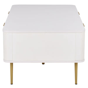 Hilsa Modern Coffee Table With Sleek Matte Top And Luxe Metallic Frame, Low-Profile Accent Piece
