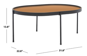 Safavieh Emmerich Mirrored Coffee Table With Rose Gold Tray Top & Matte Black Frame For Chic Living Spaces COF4218A