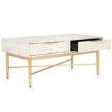 Safavieh Pierre 2 Drawer Coffee Table White Washed / Gold COF6404B