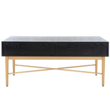 Safavieh Pierre 2 Drawer Coffee Table Black / Gold COF6404C