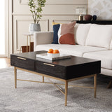 Safavieh Pierre 2 Drawer Coffee Table Black / Gold COF6404C