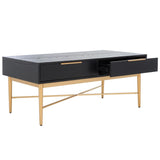 Safavieh Pierre 2 Drawer Coffee Table Black / Gold COF6404C