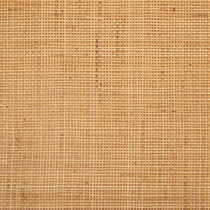 Safavieh Juri Rectangle Coffee Table - Boho-Chic Rattan & Bamboo Design For Tropical Living Spaces, 47" Wide COF6508A