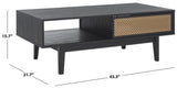 Safavieh Ceu 2 Door Coffee Table XII23 Black/ Gold Wood COF9602B