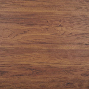 Safavieh Lylia 2 Door Coffee Table Walnut / Black COF9603A