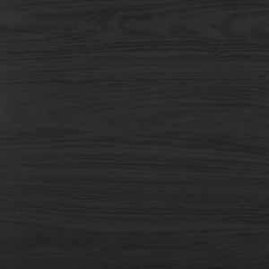 Safavieh Lylia 2 Door Coffee Table Black / Black COF9603B