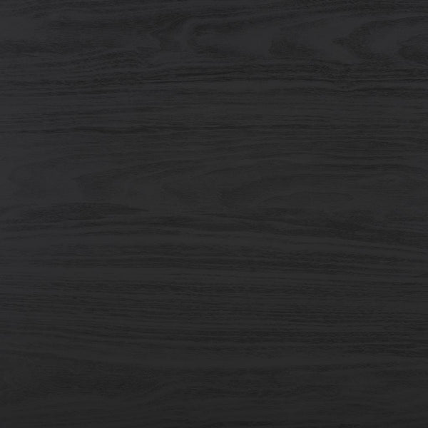 Safavieh Lylia 2 Door Coffee Table Black / Black COF9603B