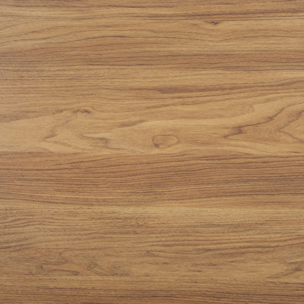 Safavieh Lylia 2 Door Coffee Table Oak / Black COF9603D