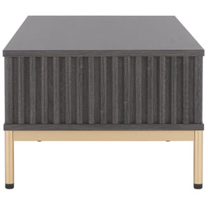 Safavieh Lylia 2 Door Coffee Table Distressed Black / Gold COF9603E