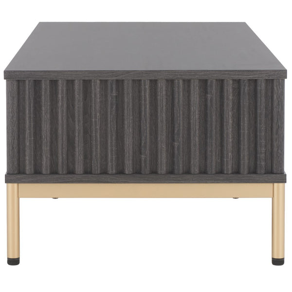 Safavieh Lylia 2 Door Coffee Table Distressed Black / Gold COF9603E