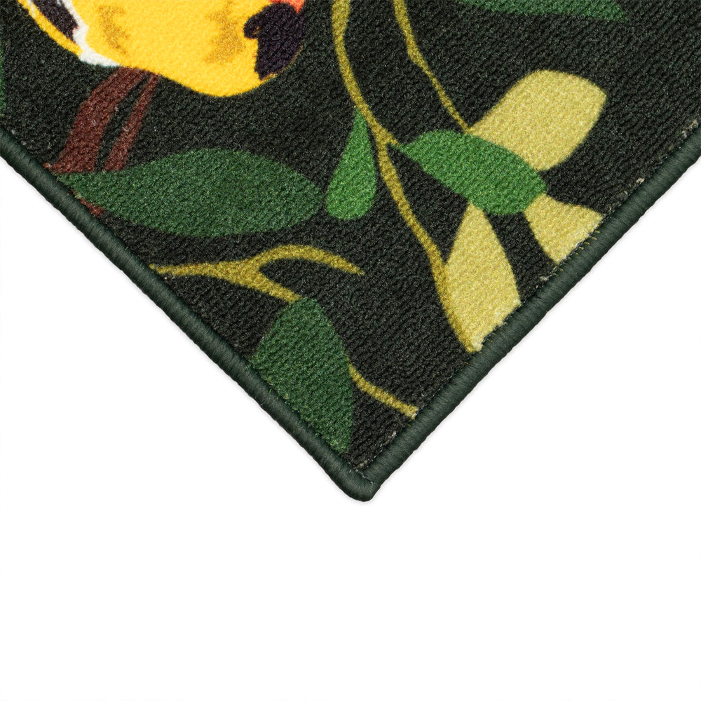 Trans Ocean Liora Manne Siena Aviary Indoor Mat - Colorful Songbirds On A Vibrant Botanical Background Delight Green Nylon Sei34513506