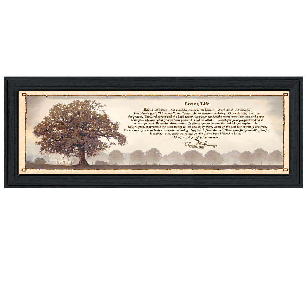 English Elm "living Life" Bonnie Mohr Framed Wall Art Fade Resistant Canvas Ready to Hang B06787593
