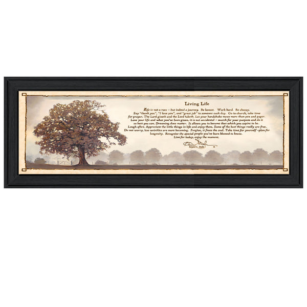 English Elm "living Life" Bonnie Mohr Framed Wall Art Fade Resistant Canvas Ready to Hang B06787593