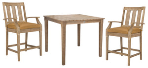 Safavieh San Salvador Patio Counter Stools - Stylish Eucalyptus Wood Design For Outdoor Entertaining Fun Natural ,Brown Wood ,Cushion Cpt1020b-set2