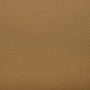 Safavieh Julianne Brazilian Teak Patio Chair Natural / Brown CPT1031B