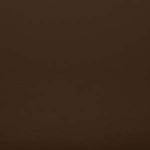 Safavieh Julianne Brazilian Teak Patio Chair Natural / Dark Brown CPT1031C