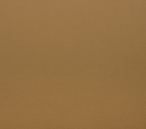 Safavieh Kauai Brazilian Teak Patio Chair Natural / Brown CPT1040B